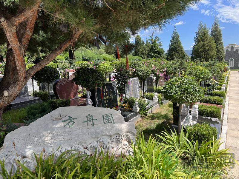 墓区图
