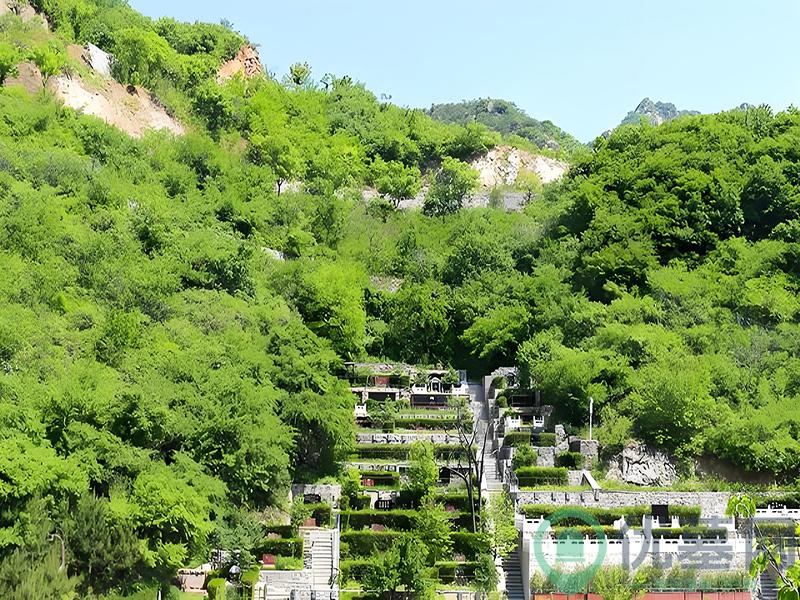 墓区图