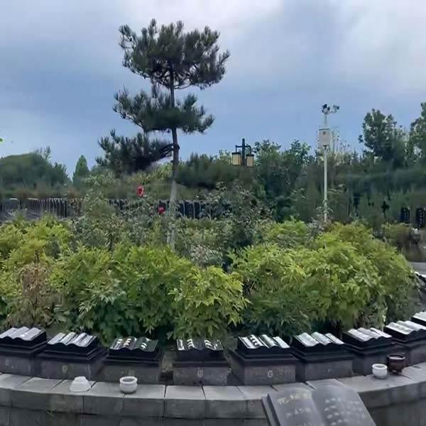 花坛葬