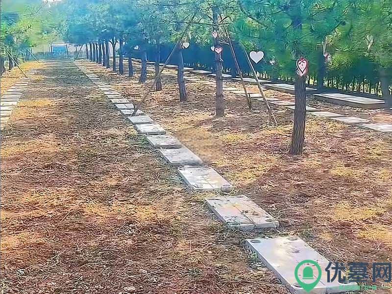 丰润千佛寺万福园公墓区位图